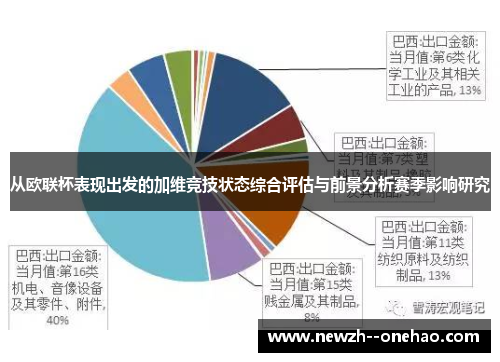 从欧联杯表现出发的加维竞技状态综合评估与前景分析赛季影响研究