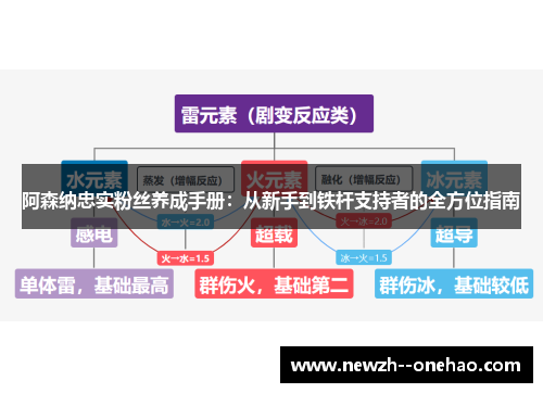 阿森纳忠实粉丝养成手册：从新手到铁杆支持者的全方位指南